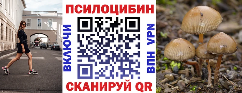 Галлюциногенные грибы ЛСД  Заволжье 