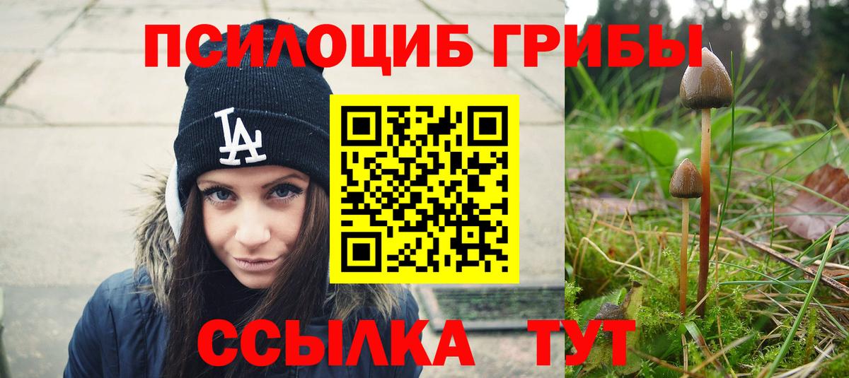 Заволжье  Псилоцибиновые грибы мицелий  Вход с VPN 