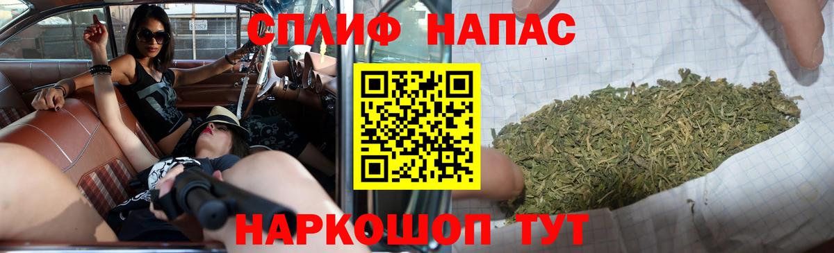 Бошки Шишки семена Заволжье